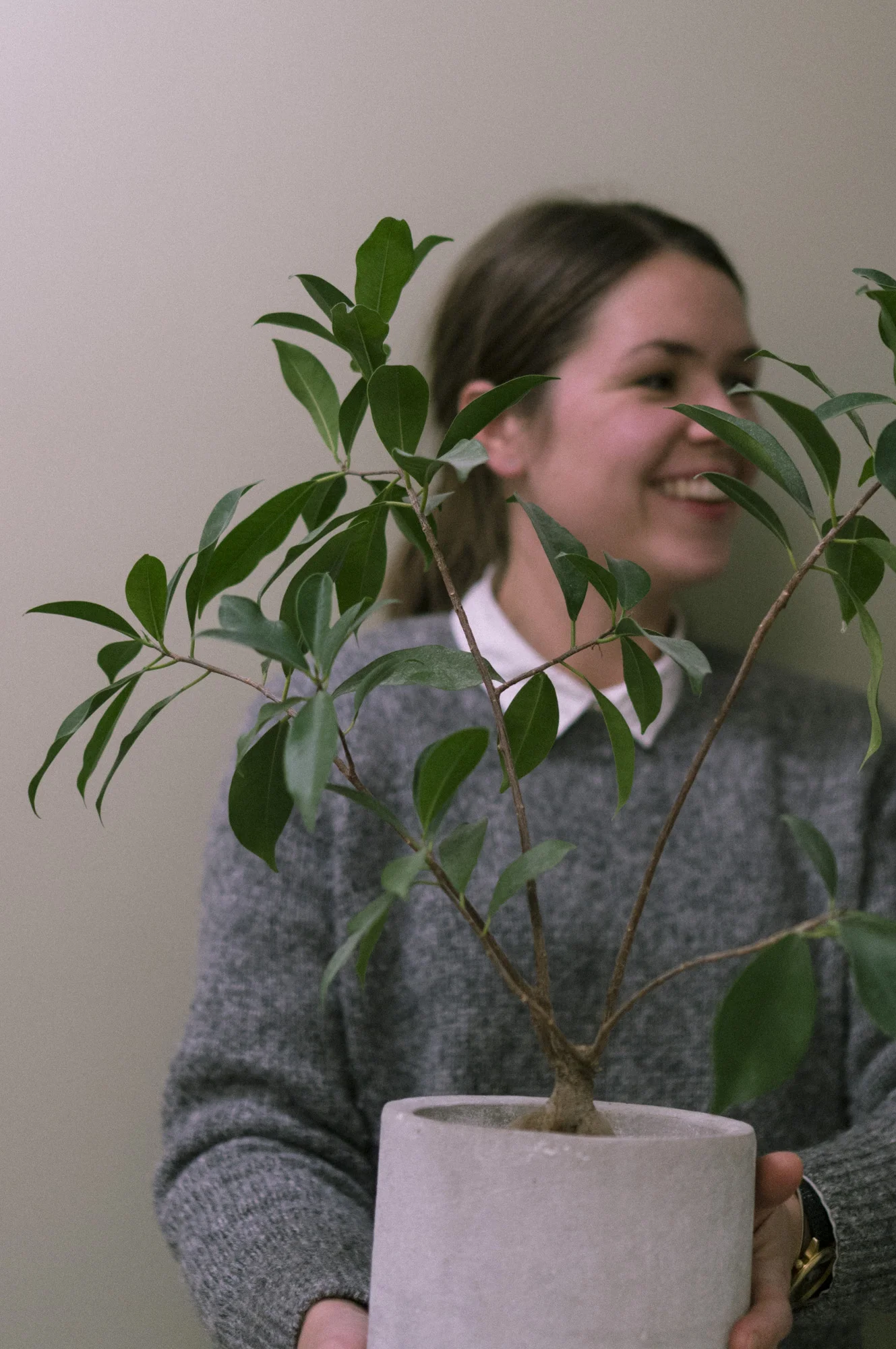 Favorittplanten - Elise