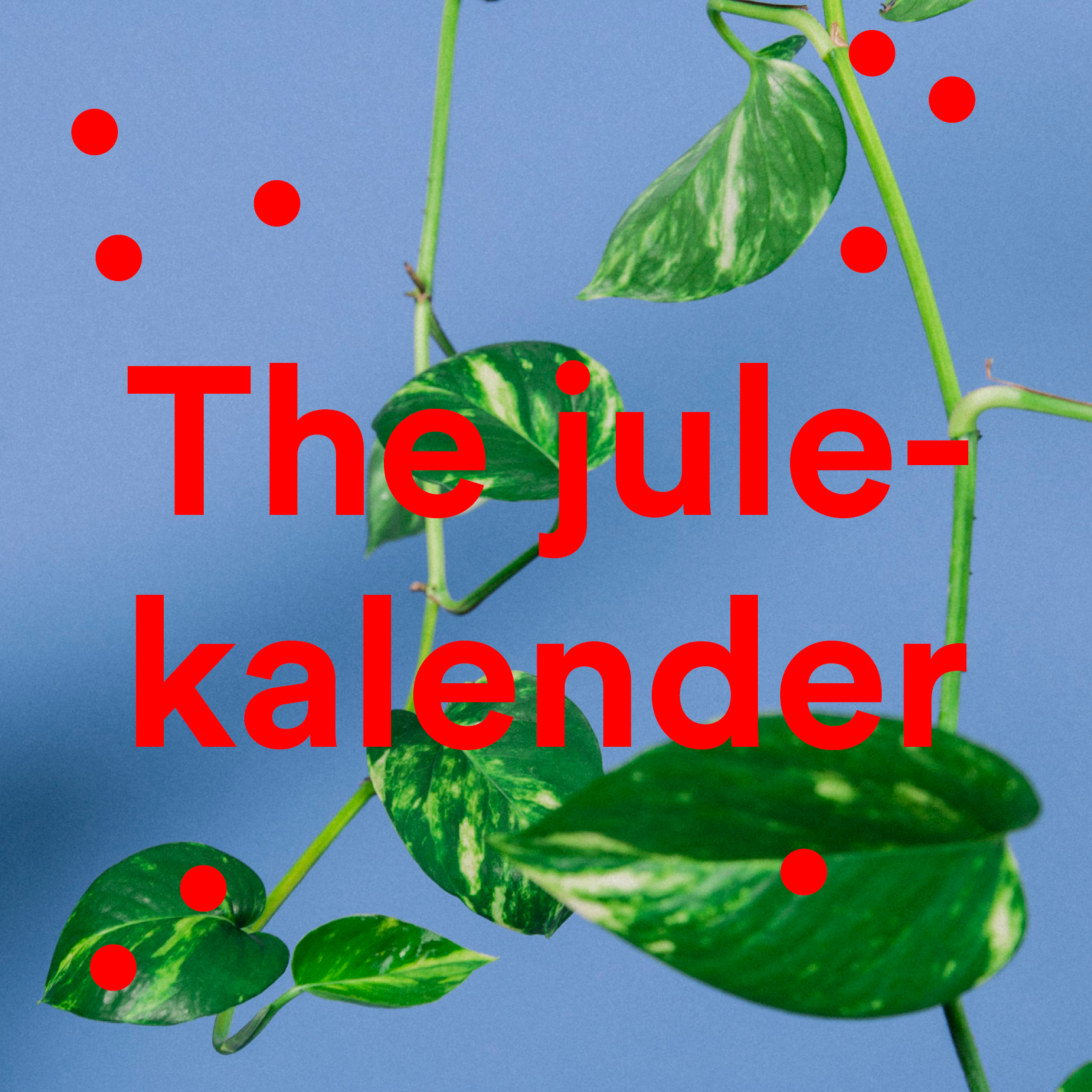Julekalender