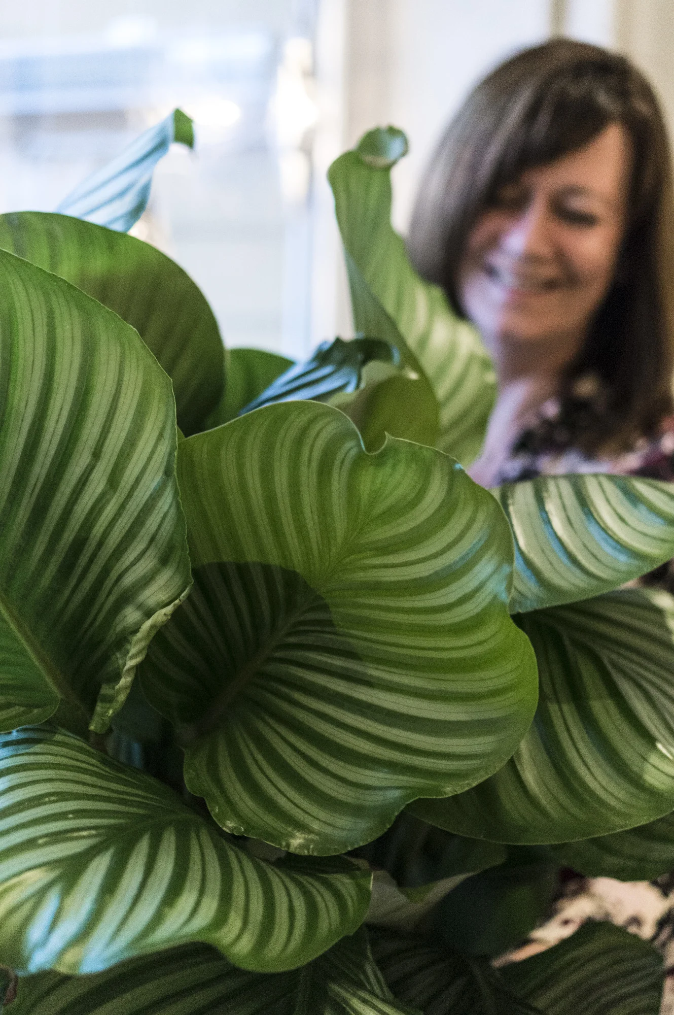  Favorittplanten - Ragnhild