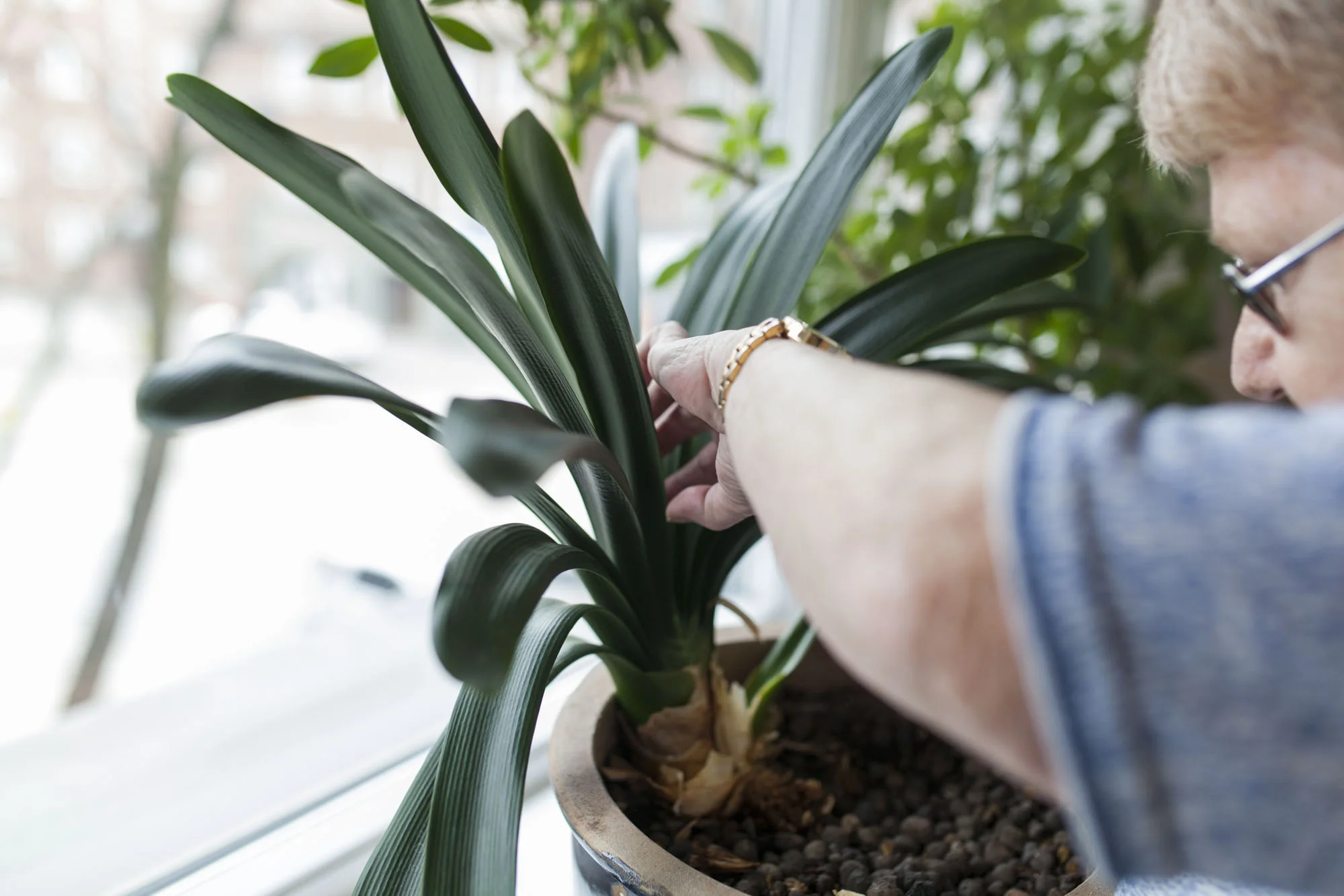gromagasinet hjemme hos sinsen eldresenter