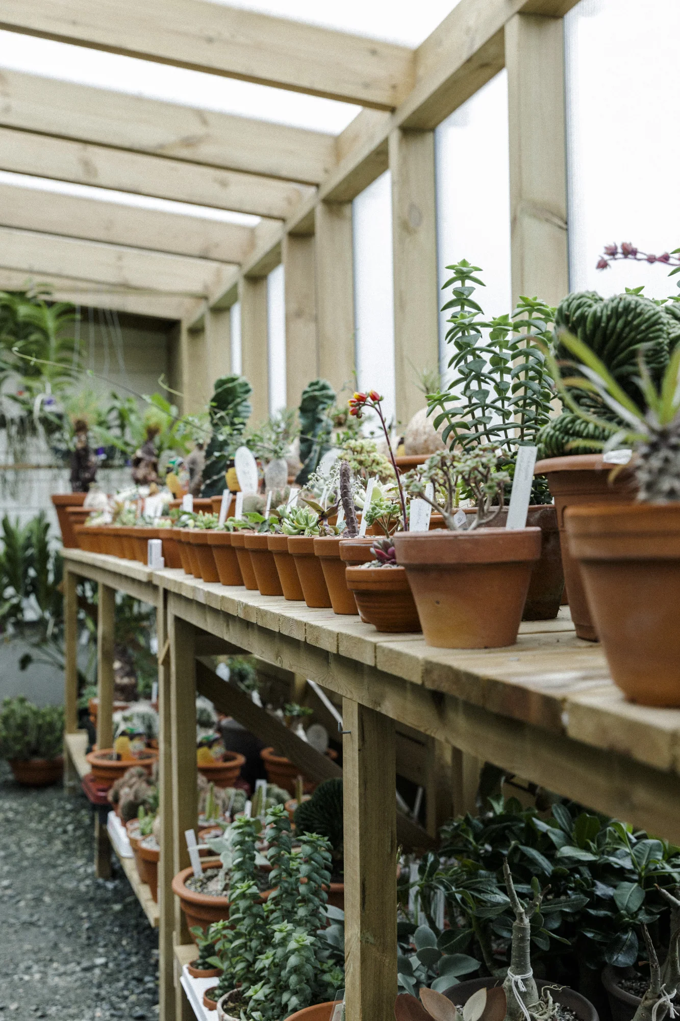 Hjemme hos: Solheim Gartneri