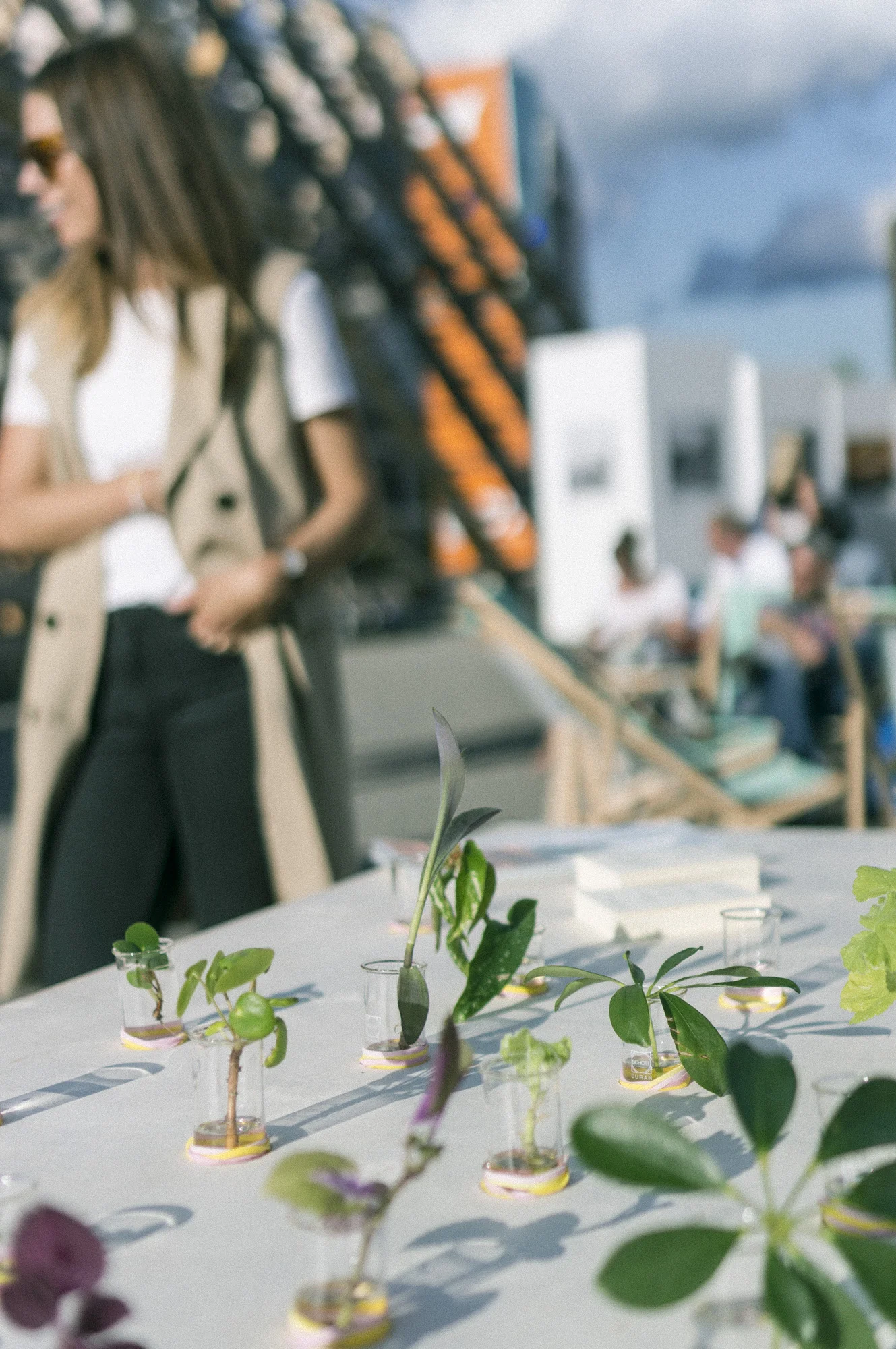 Bilder fra Avleggs #3