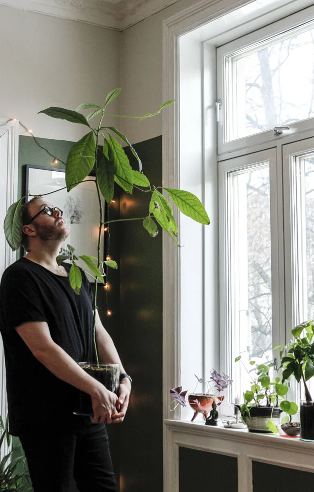Favorittplanten - Sigurd