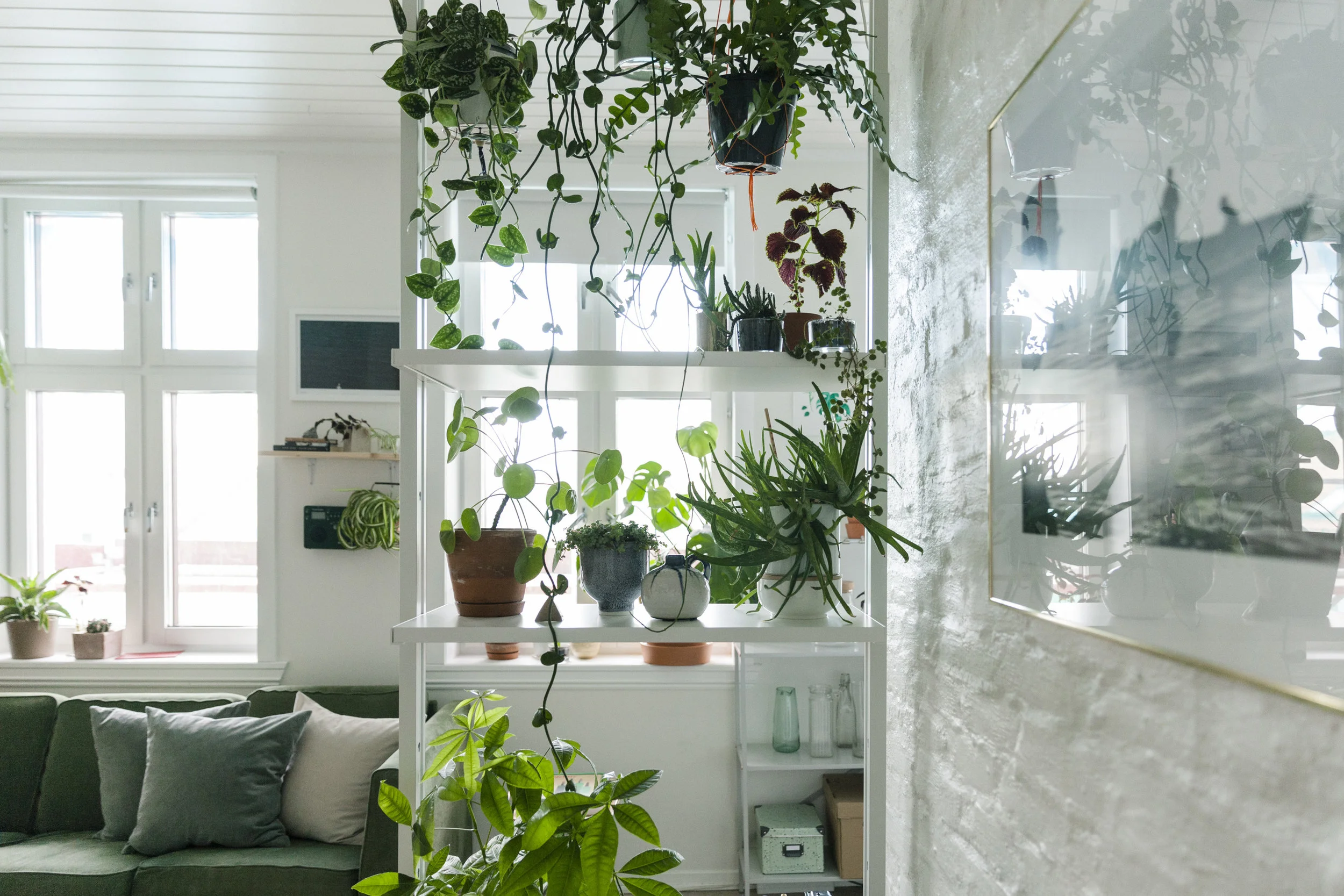 9 tips for en grønnere stue
