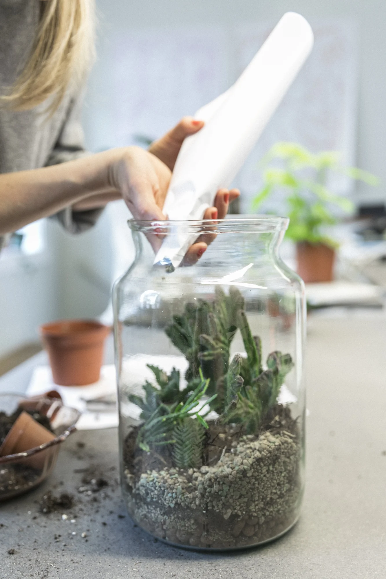 Hvordan: Åpent terrarium