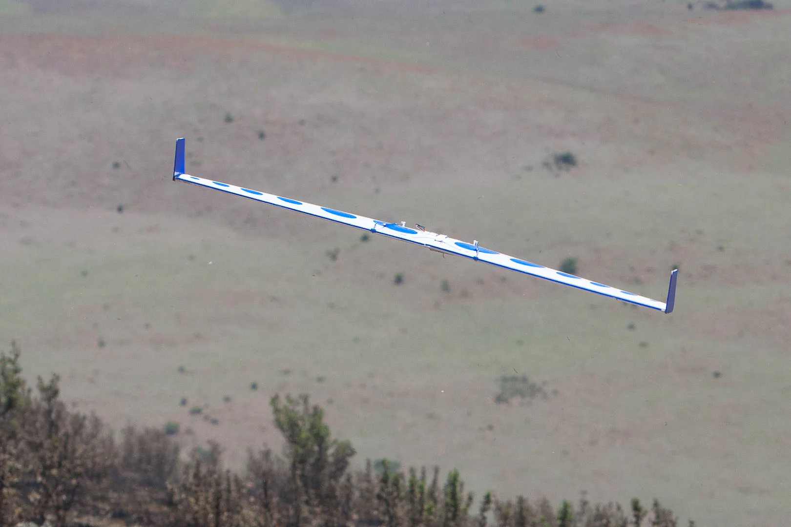JSF_20131109_169837.jpg
