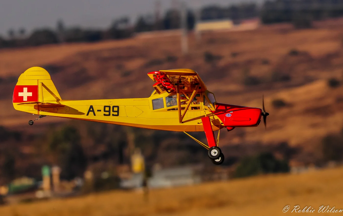 RW3_2318-1.jpg