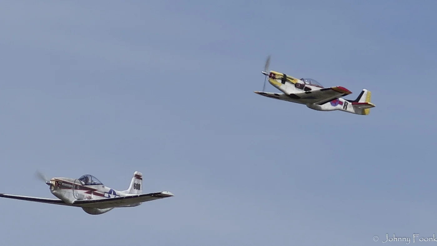 JSF_20140322_173875-10.jpg