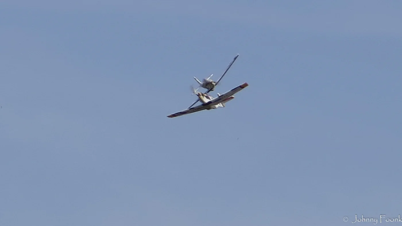 JSF_20140322_173886-11.jpg