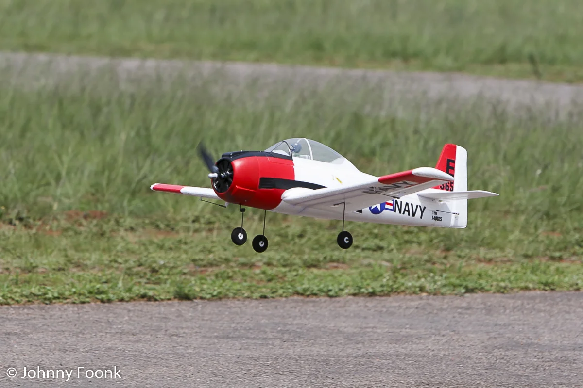 JSF_20141206_181697-1.jpg