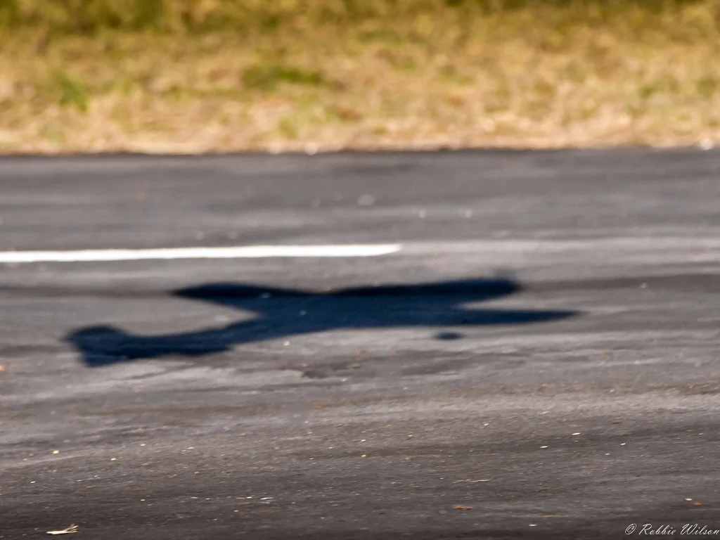 _RW53732-1.jpg