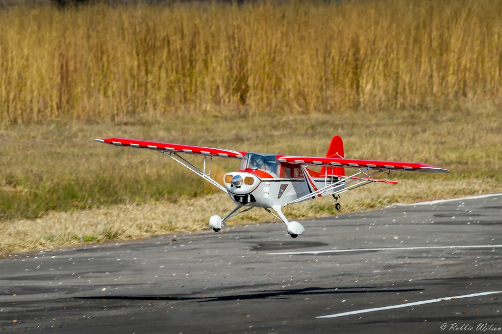 _RW54423-1.jpg