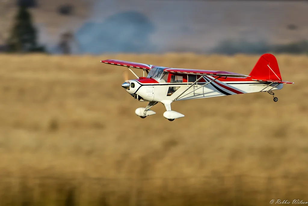 _RW55458-1.jpg