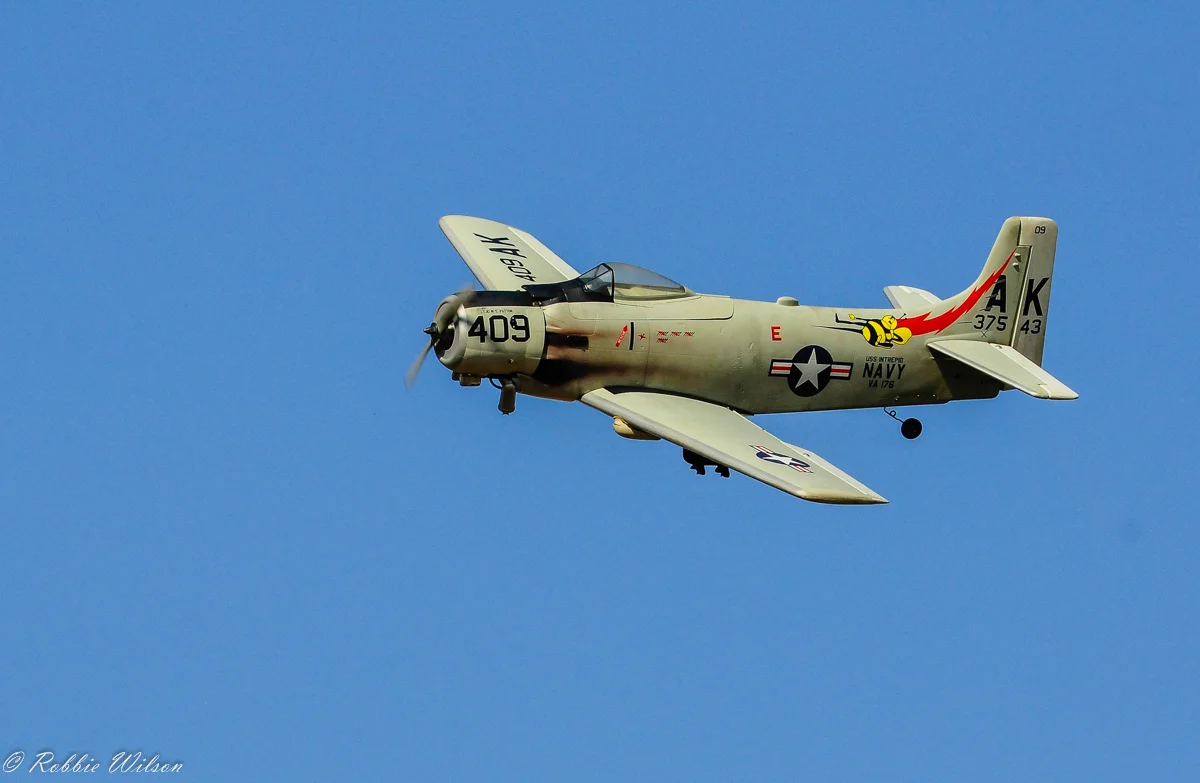 _RW38390-1.jpg