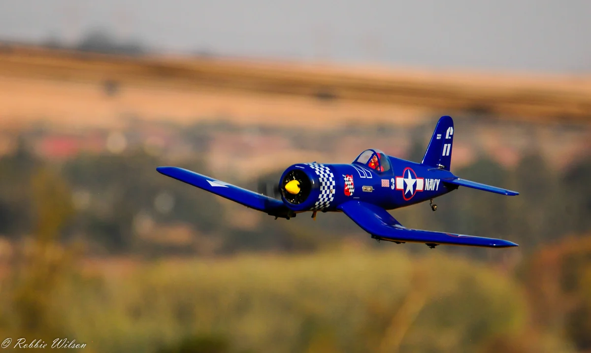 _RW38593-1.jpg