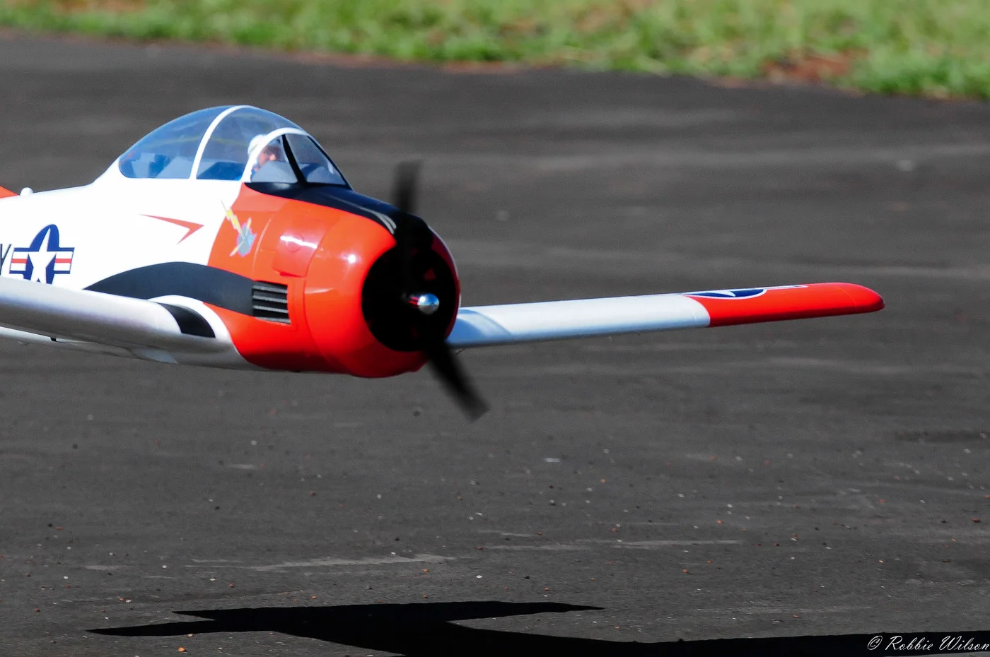 RW3_5345-1.jpg