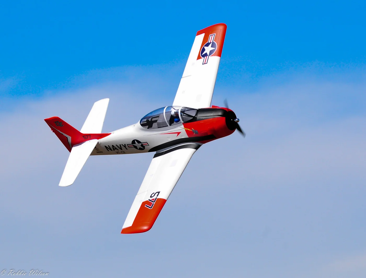 RW3_5485-1.jpg