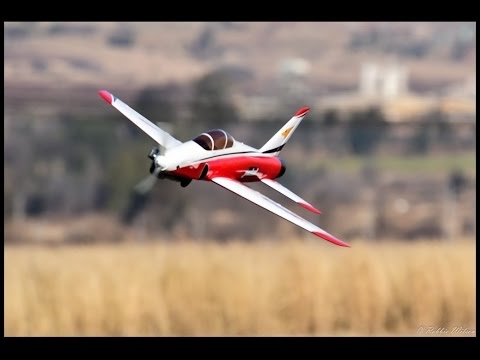 Must See - 304km/h Hanger 9 Jackal with OS .75AX Nitro (720HD)