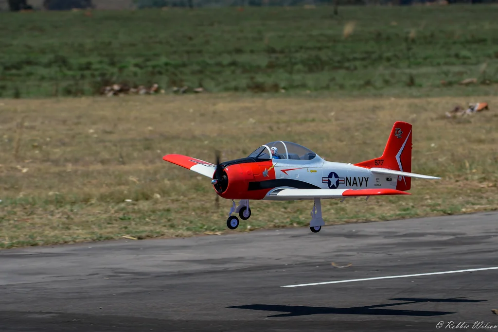 20160924-_RW50965.jpg