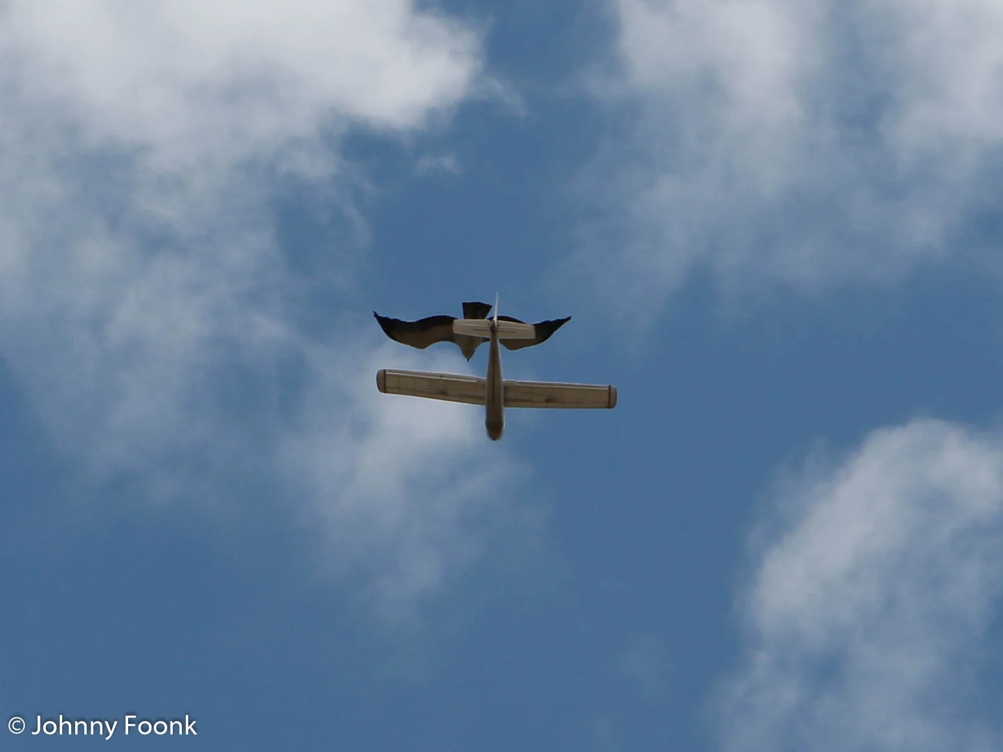 JSF_20161029_201771.jpg