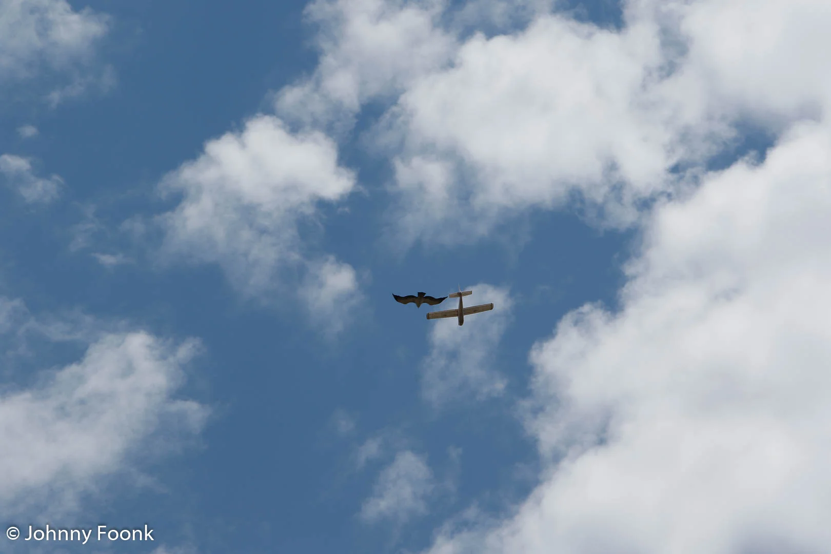 JSF_20161029_201772.jpg