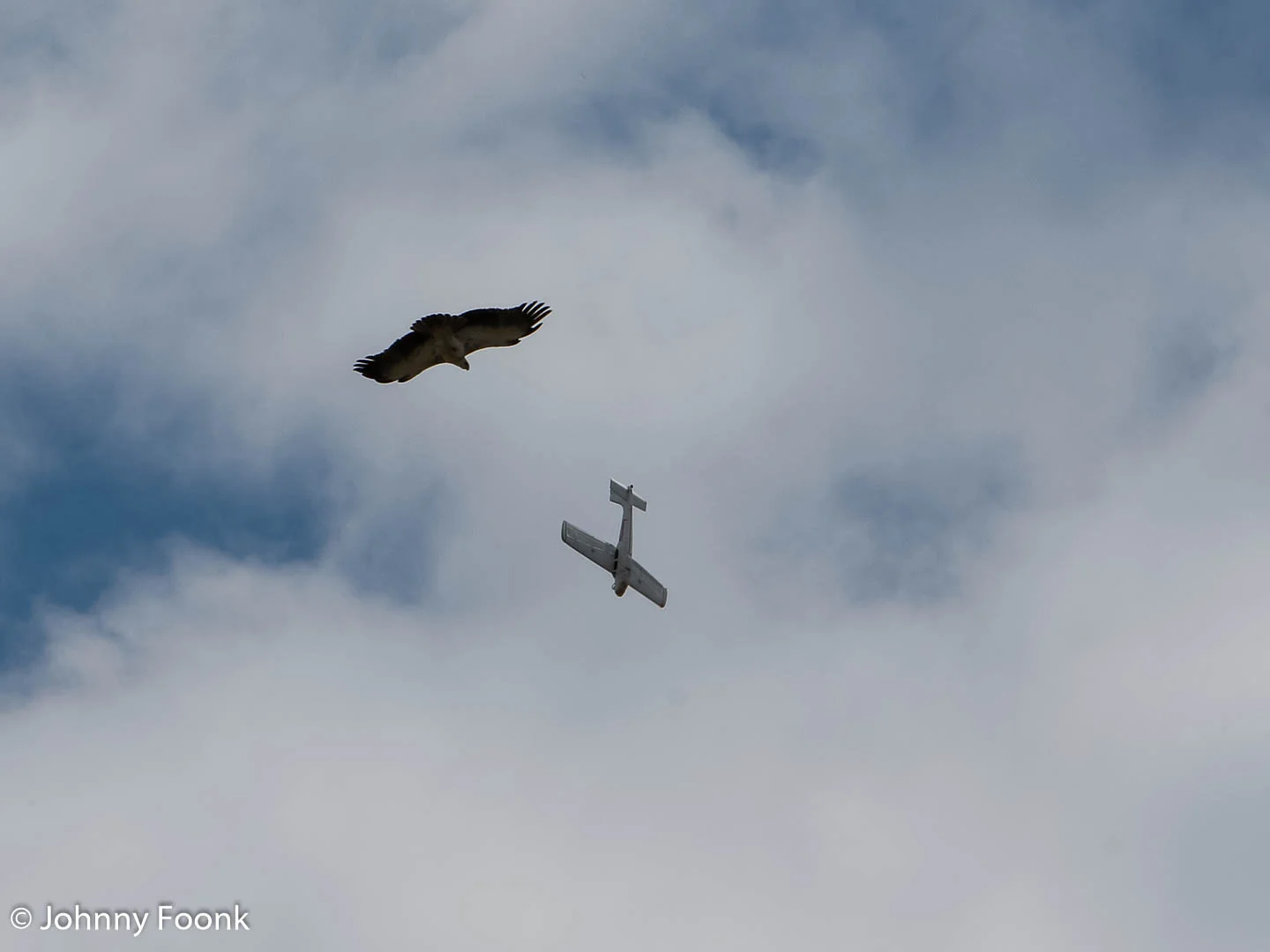 JSF_20161029_201792.jpg