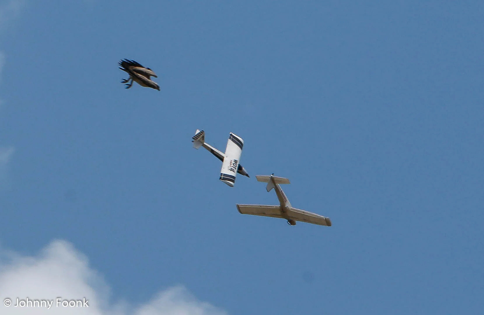 JSF_20161029_201856.jpg