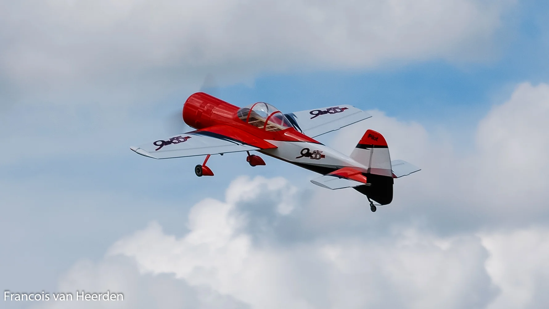 DSC_0307.jpg