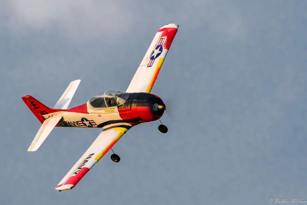20170226-_RW57147.jpg