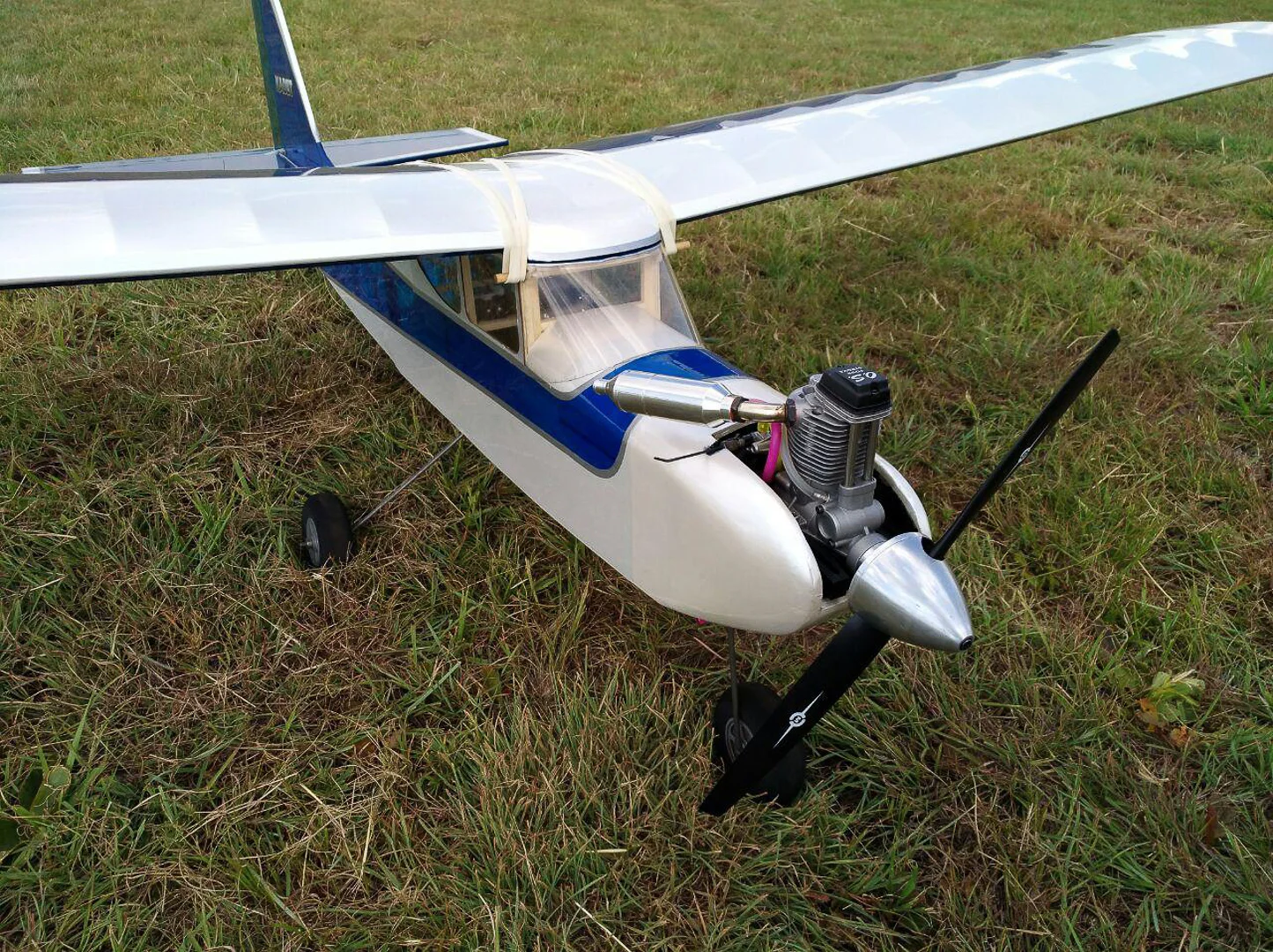 JSF_20180419_207445.jpg