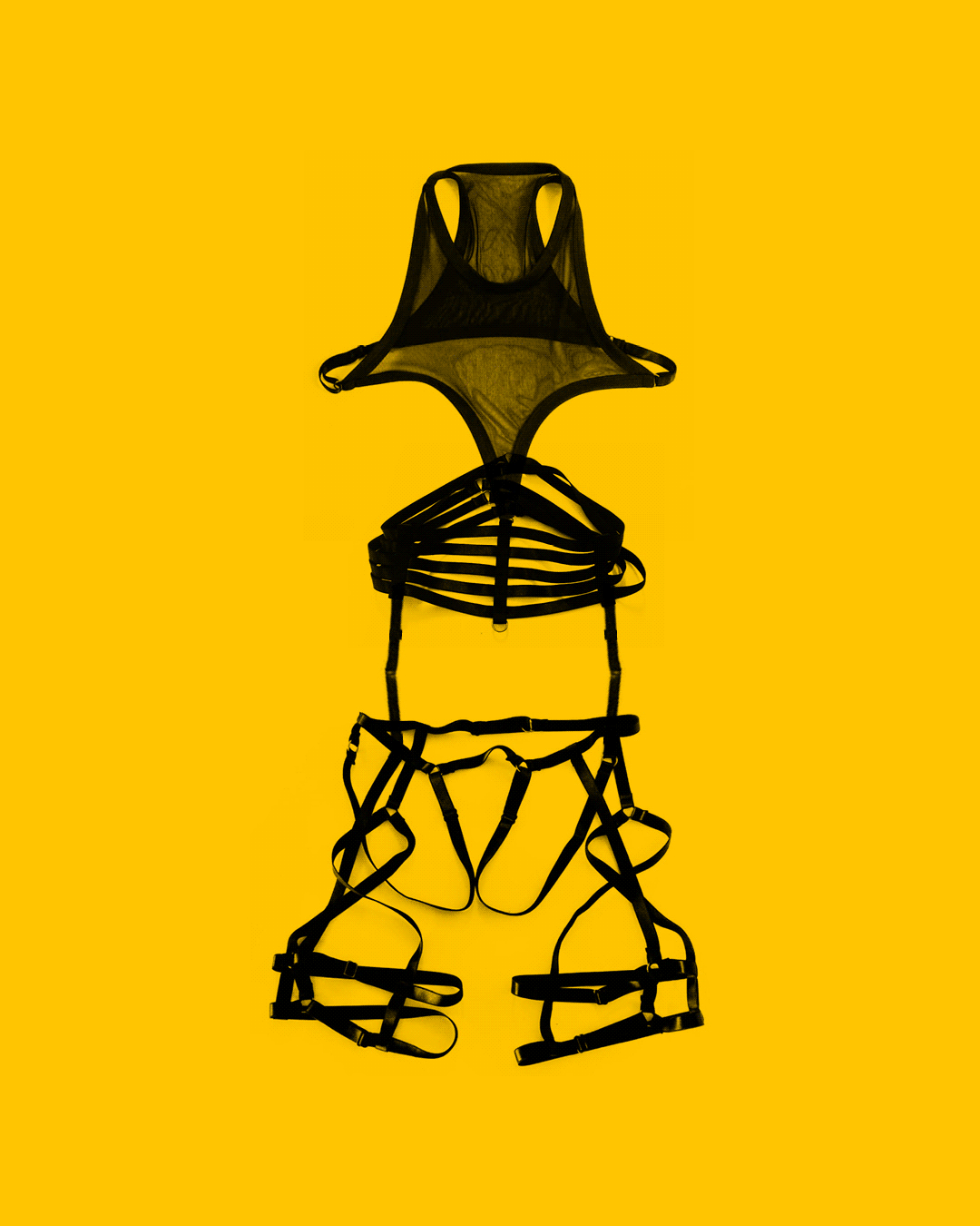 build_your_harness_iii.gif