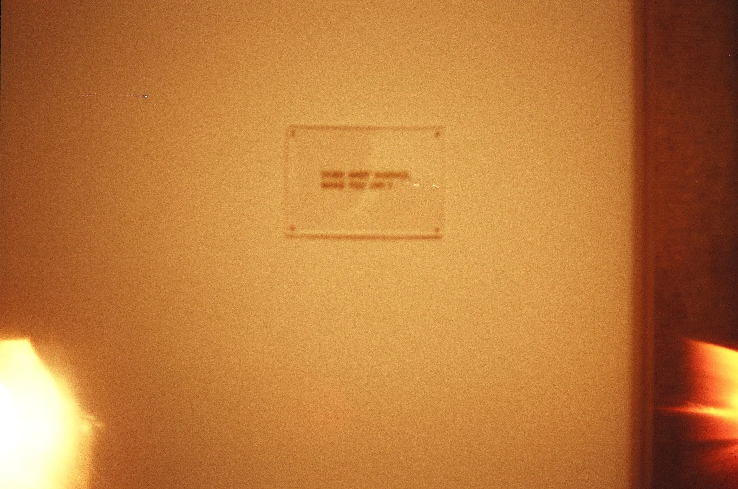 48430011.JPG