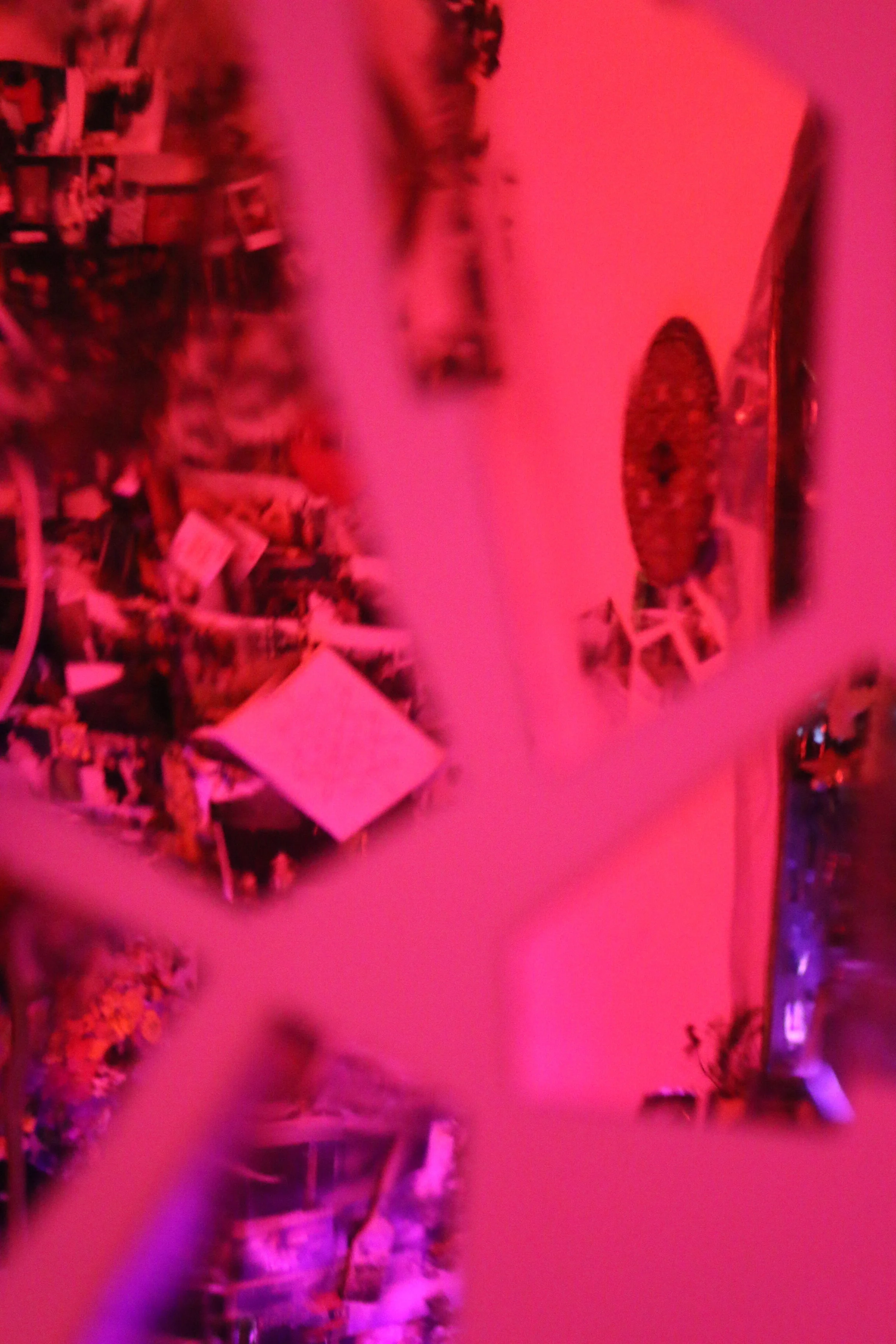 bio altar installation view 05.JPG