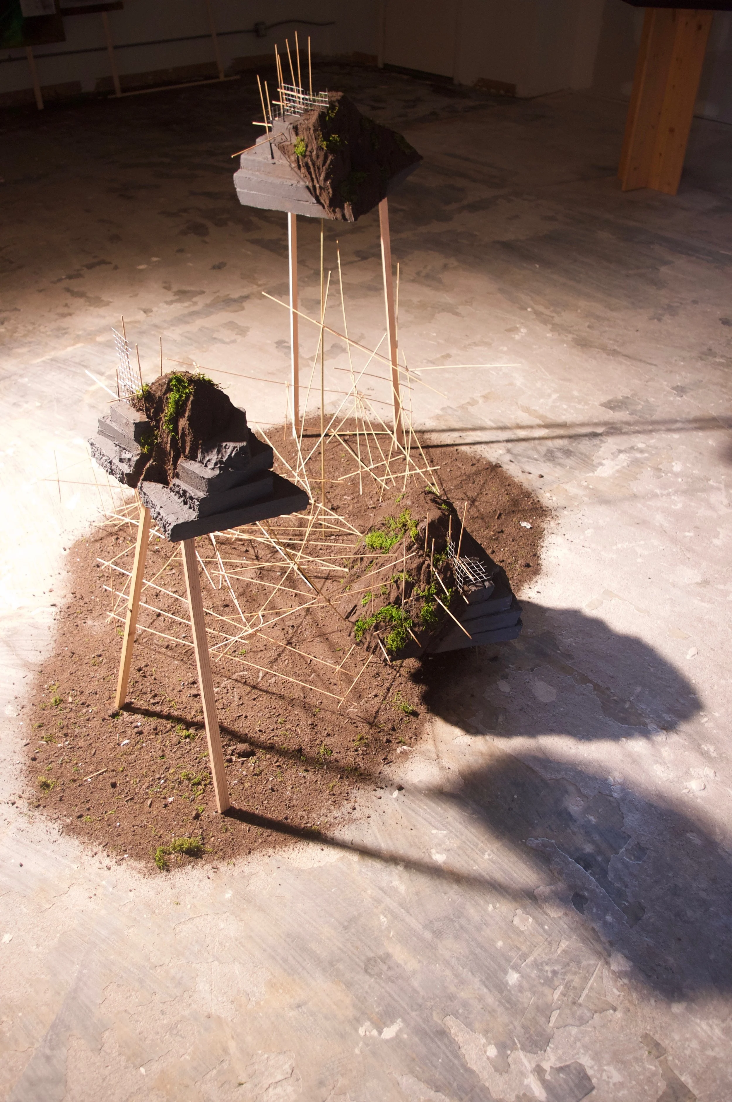 Artifact of Place#2_InstallShot_2.jpeg