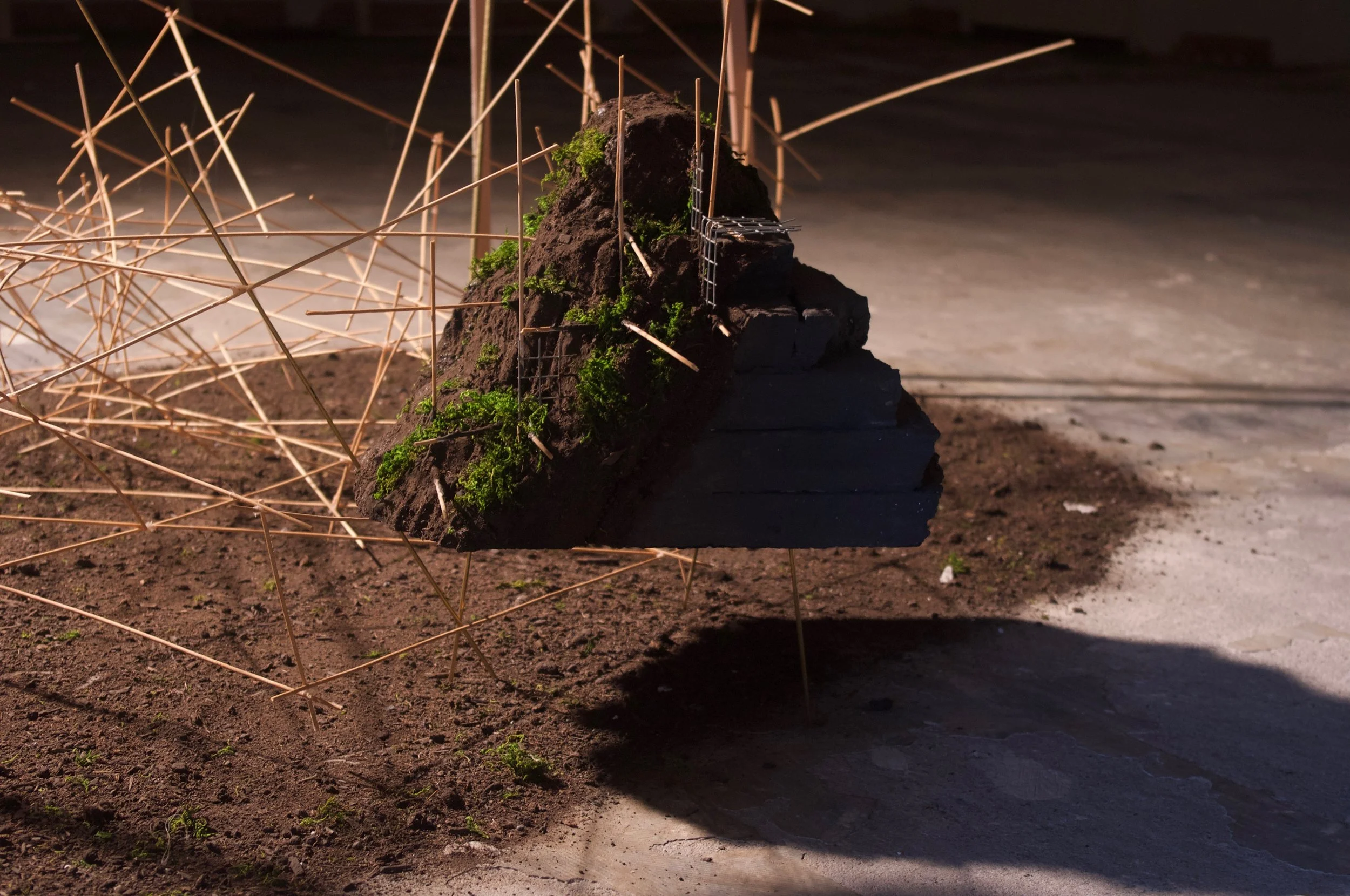 Artifact of Place#2_InstallShot_3.jpeg