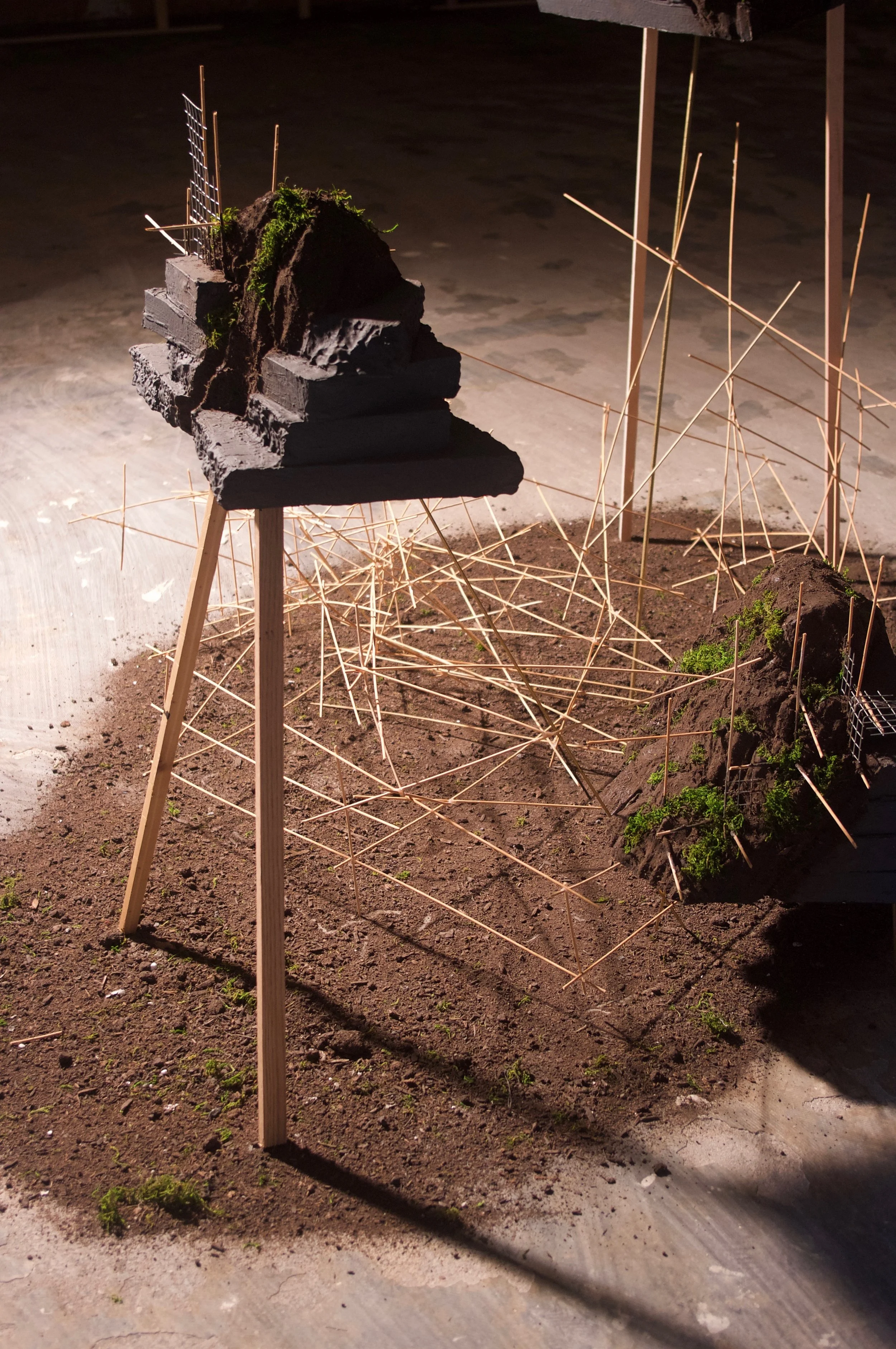 Artifact of Place#2_InstallShot_4.jpeg