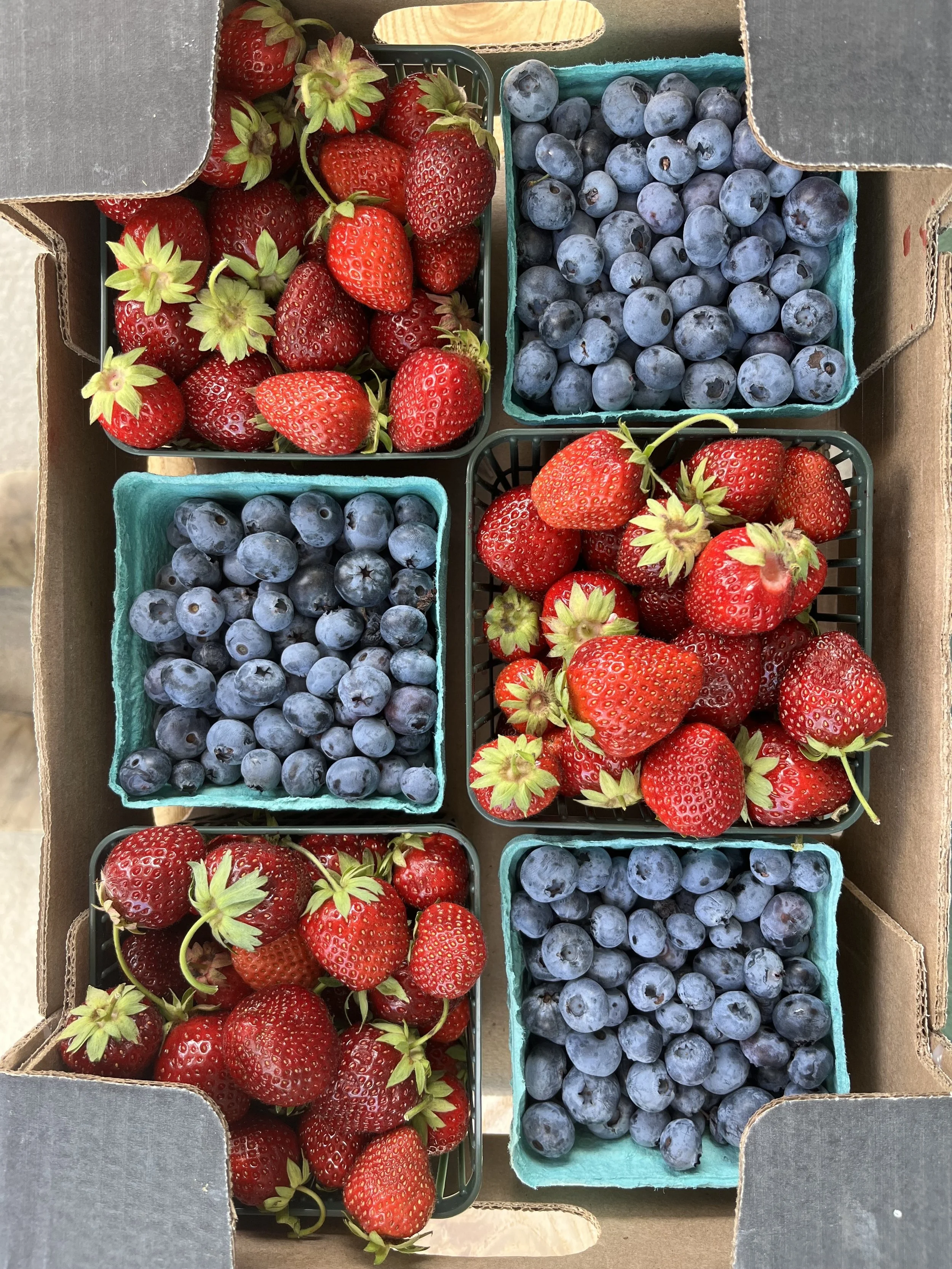 Mixed Berry Flat: Week 13