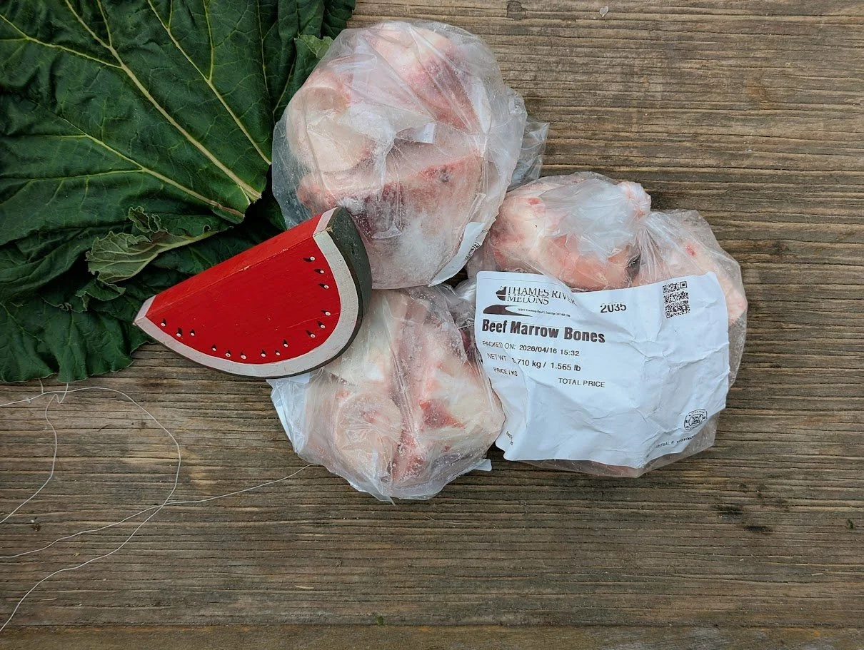Black Angus Marrow Bones: Week 5