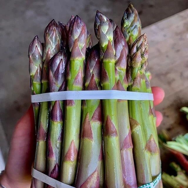 Asparagus is so fleeting &mdash; here for just 6 weeks of the year! Such a short season to enjoy such a delicious vegetable 💚 We eat it pretty much every single night around here.

What&rsquo;s your favourite asparagus recipe? Comment below and shar