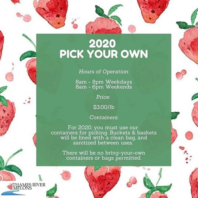 It&rsquo;s official! Pick-your-own strawberries start this weekend 🍓Opening day is Saturday a June 20th. We&rsquo;ve been hard at work planning, rearranging, and reorganizing to make it possible, and we can&rsquo;t wait to welcome you back to the fi