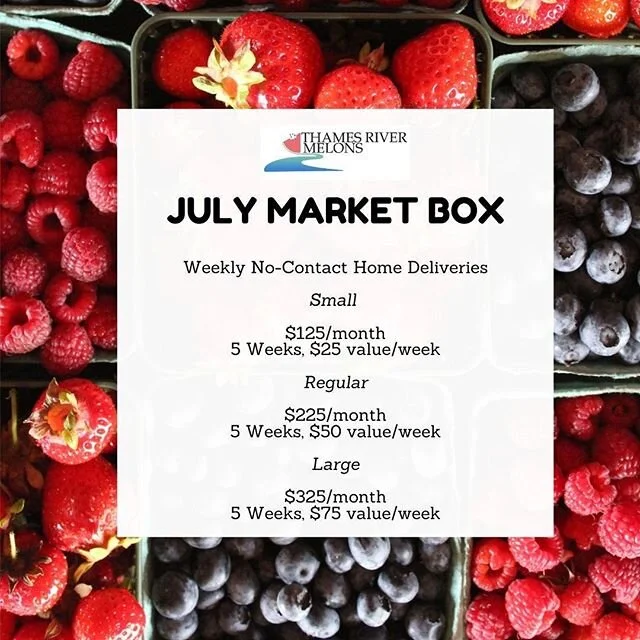Our May &amp; June Market Boxes have been such a hit that we're bringing them back for another month. And *big news* they are here to stay until the end of October!

For the month of July, you will once again receive one market box full of fresh prod