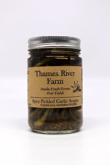 spicy pickled garlic scapes.jpg