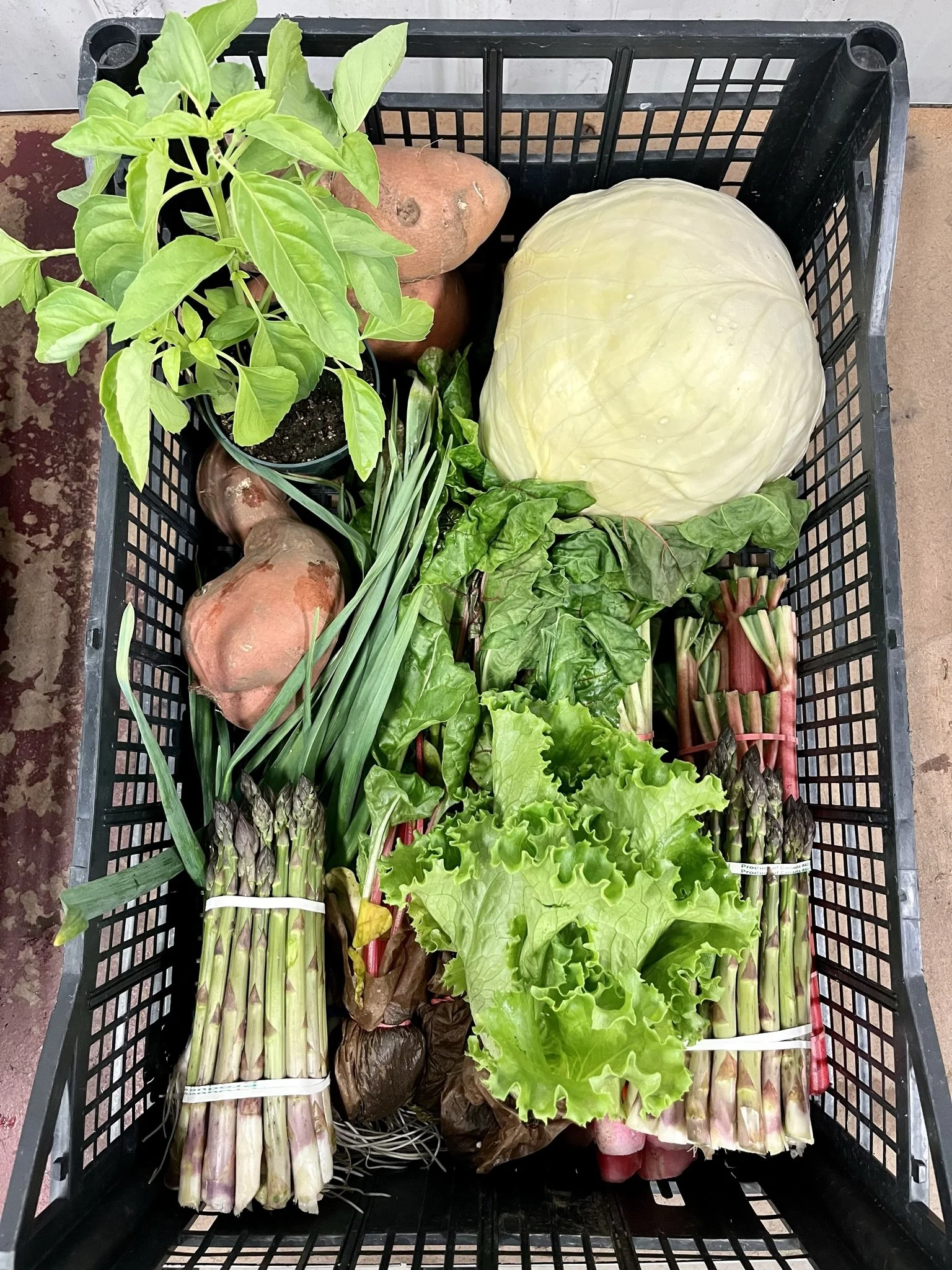 May Market Box: Large