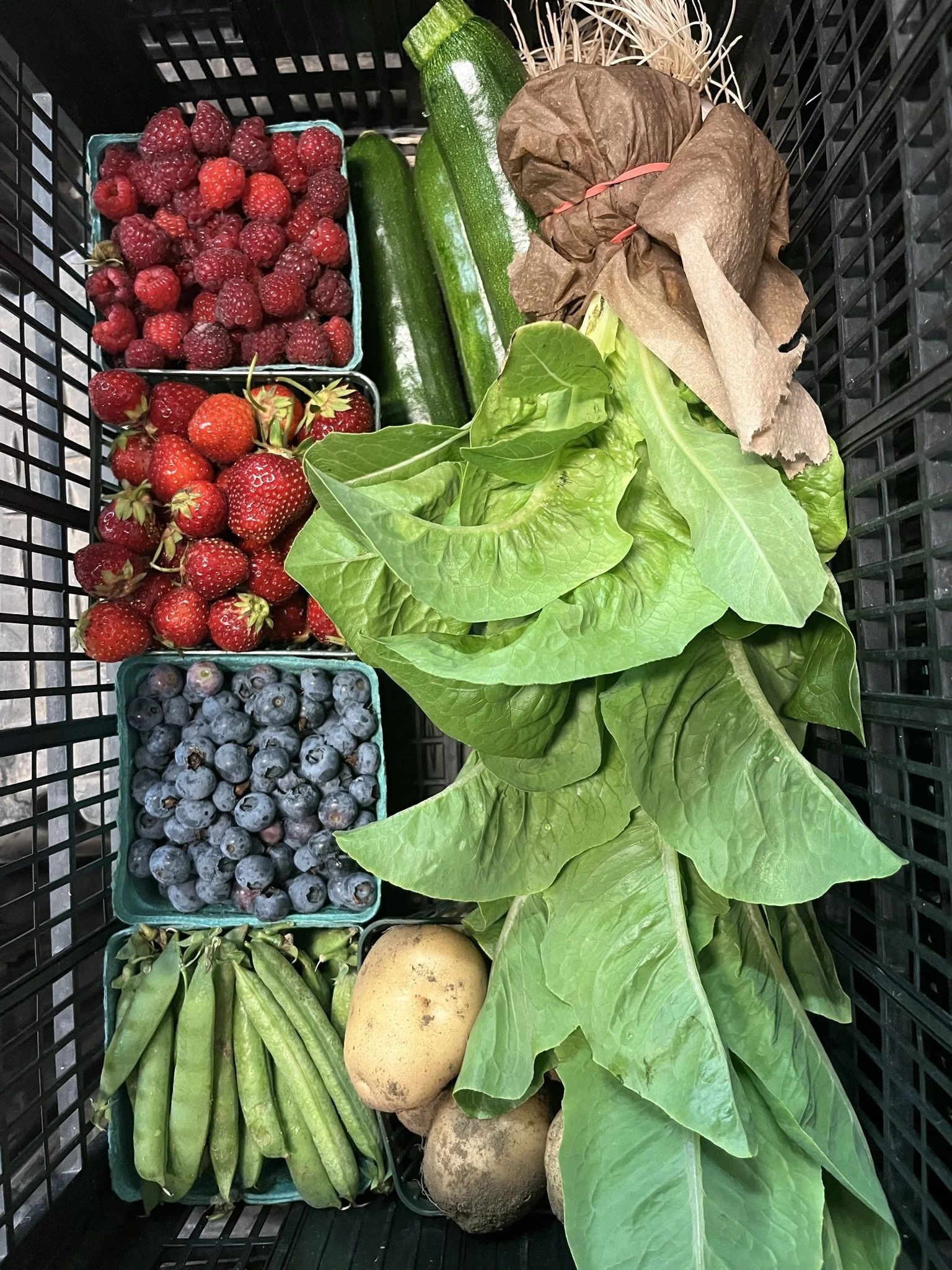 July Market Box: Regular