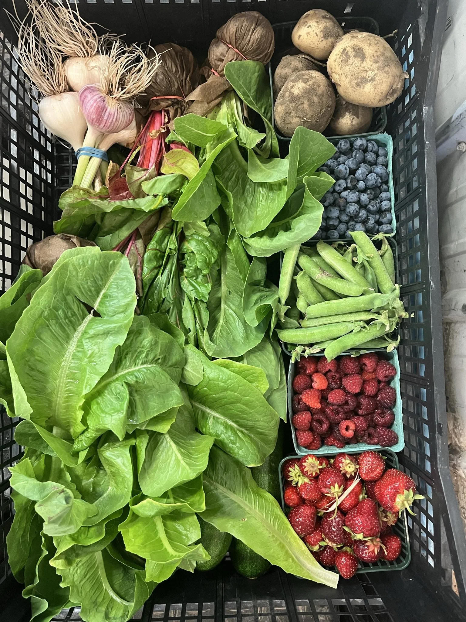 July Market Box: Large