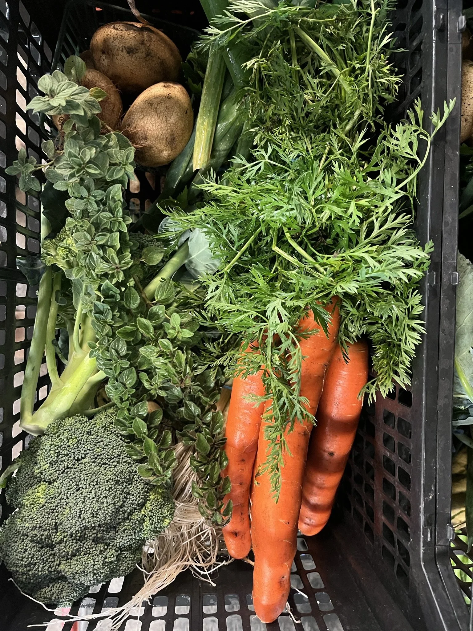 October Market Box: Small