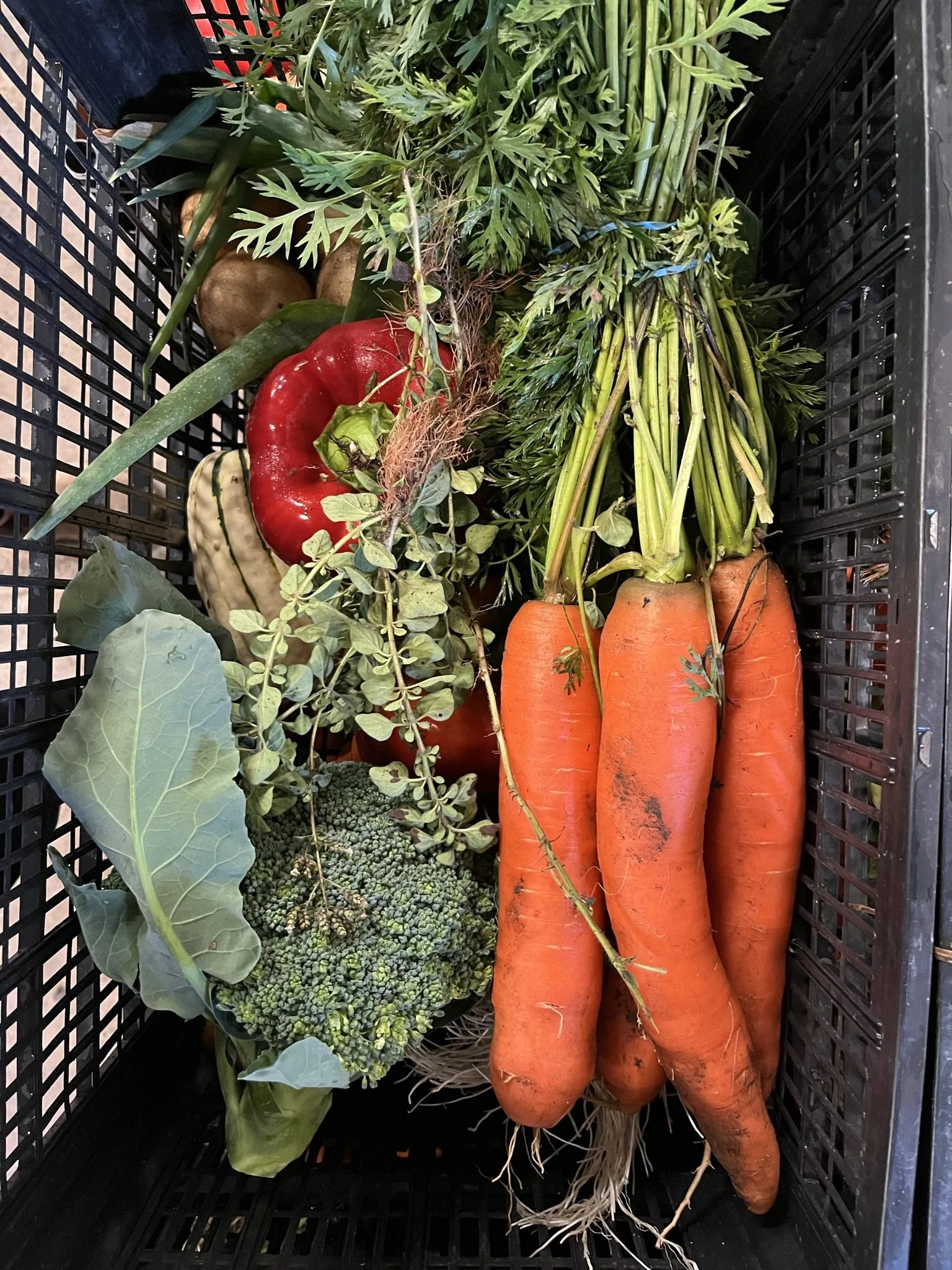 October Market Box: Regular