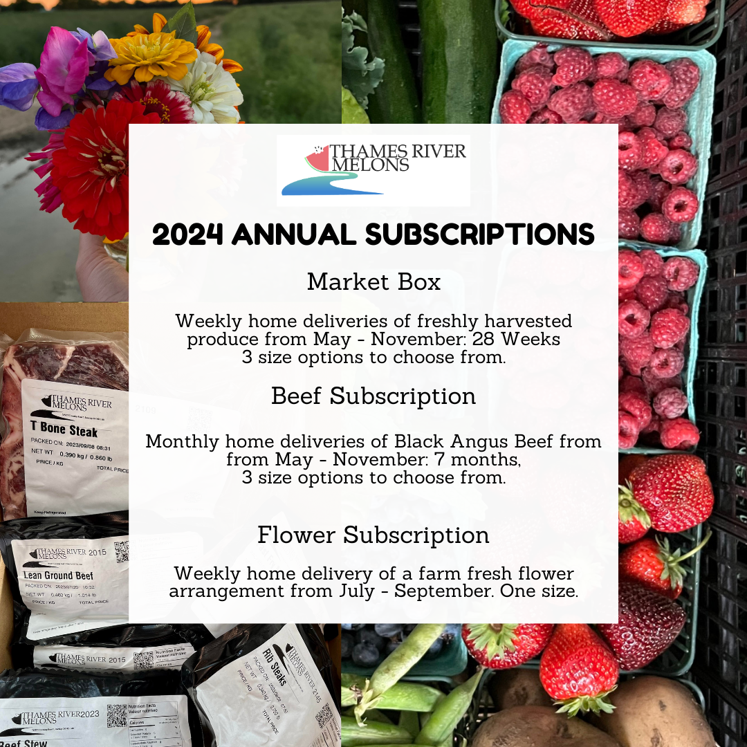 2024 Market Subscriptions.png
