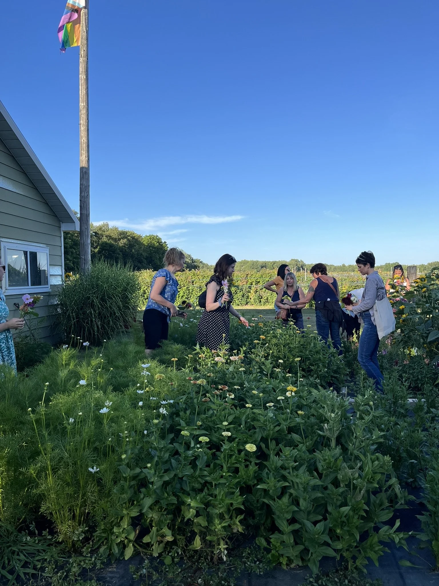 Flower picking