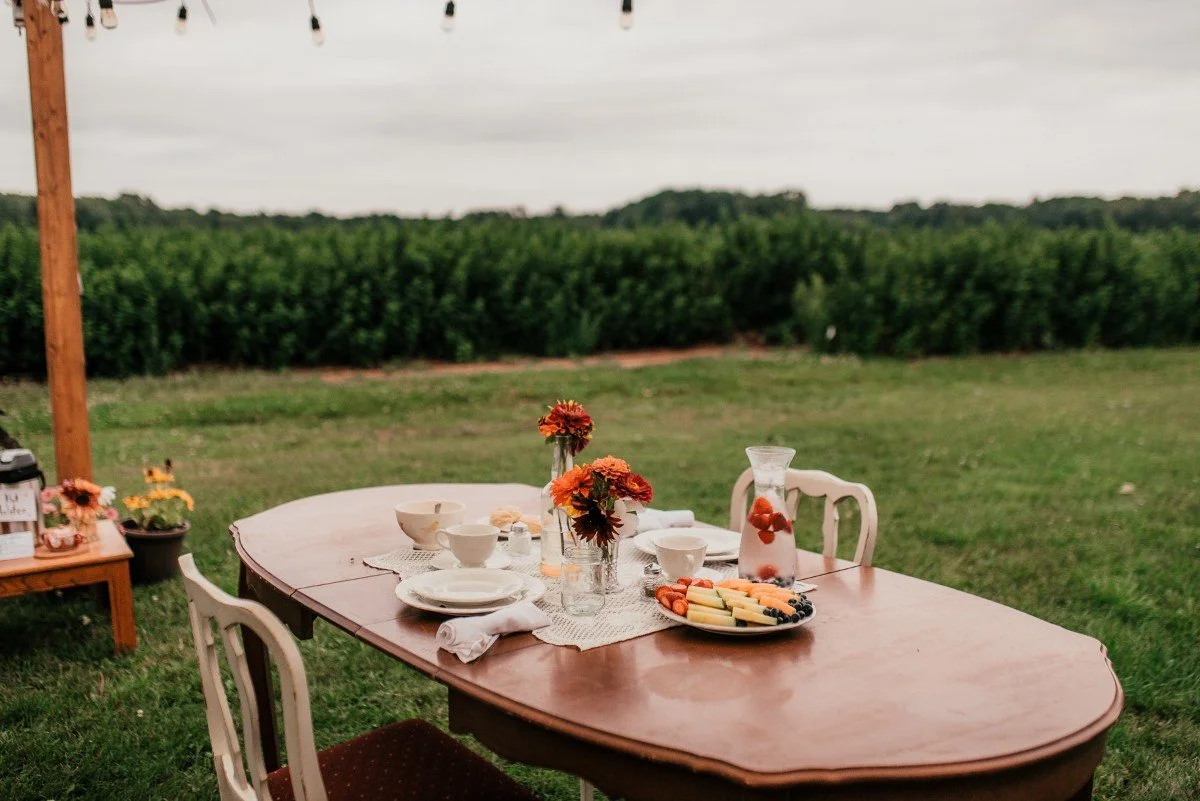 Outdoor dining table set with flowers, bowls, plates, a tray of fruit, and a pitcher of water with strawberries, situated on a grassy field with a backdrop of the green crops of Thames River Melons in Innerkip, Ontario under a cloudy sky